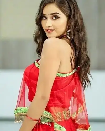 Call Girls Service Mahanagar